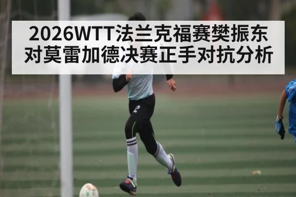 2026WTT法兰克福赛樊振东对莫雷加德决赛正手对抗分析